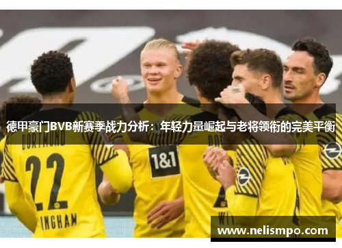 德甲豪门BVB新赛季战力分析：年轻力量崛起与老将领衔的完美平衡