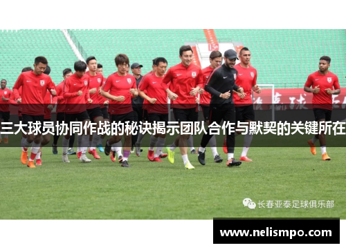 三大球员协同作战的秘诀揭示团队合作与默契的关键所在