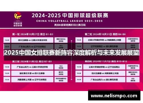 2025中国女排联赛新阵容深度解析与未来发展展望